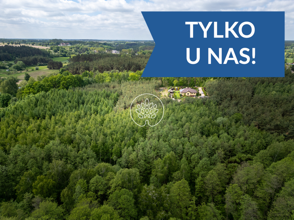 Dom w środku własnego lasu. cisza i spokój