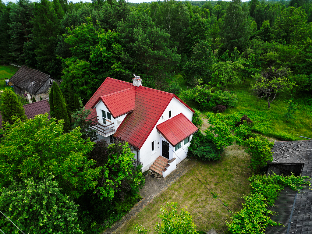 Dom w rusinów obok chlewisk
