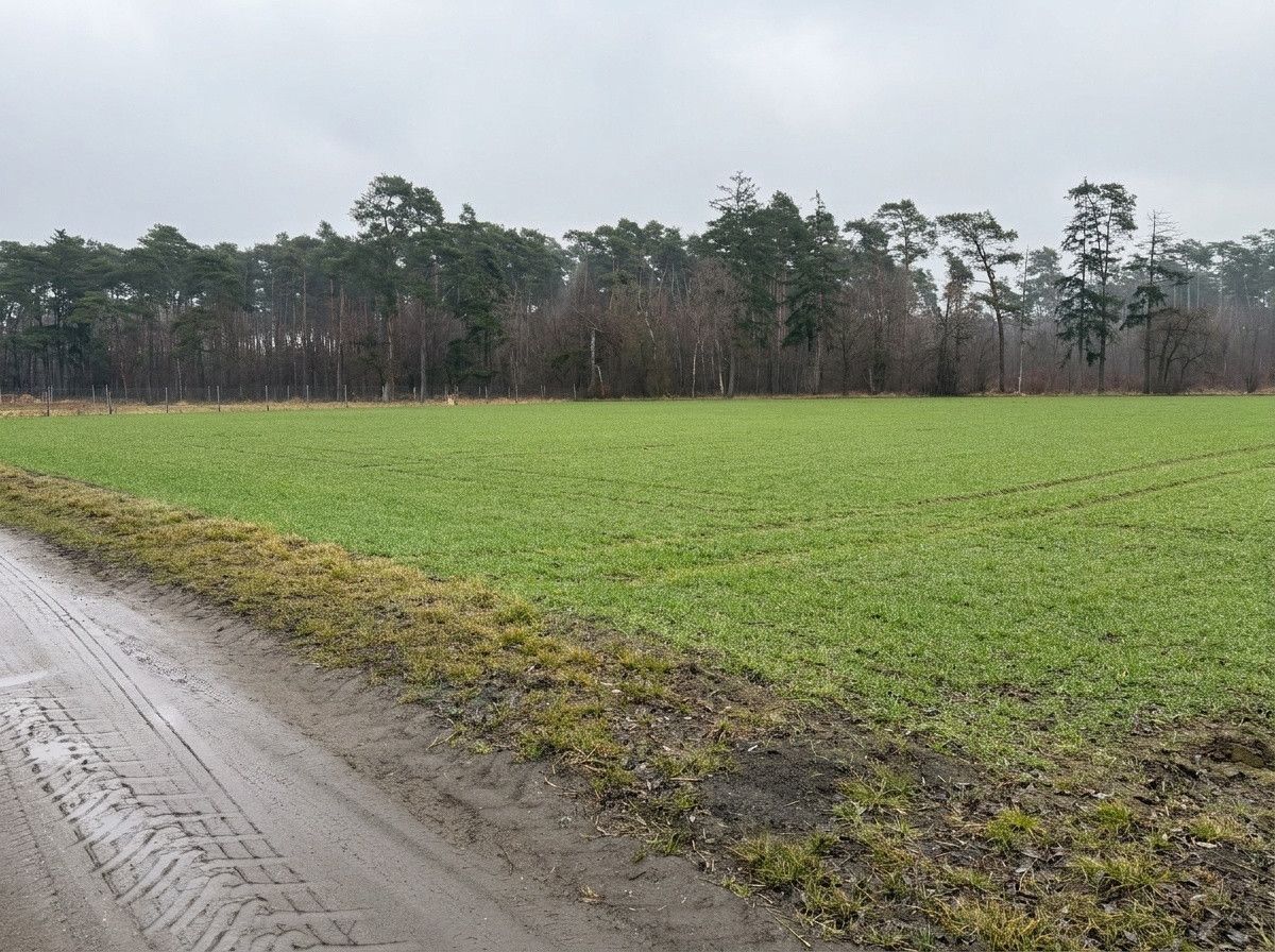 Działka 2162 m² pod dom przy lesie | wz |
