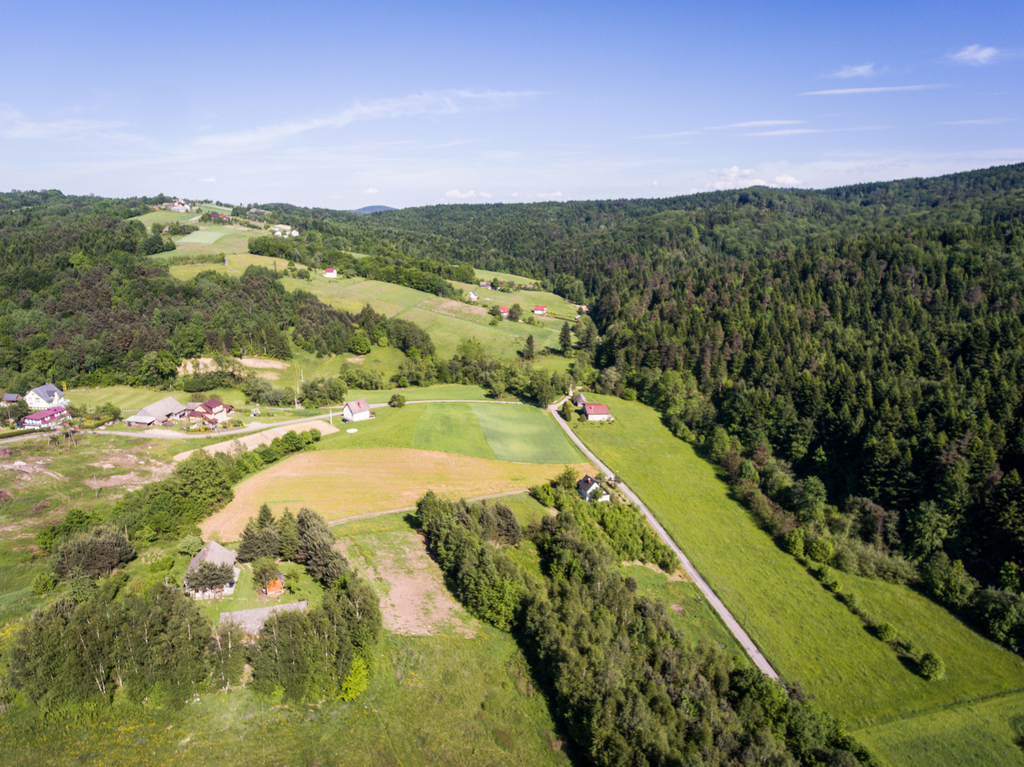 Działka 30 ar w roztoce-brzeziny | gródek nad dunajcem