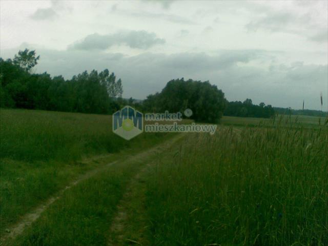 Urocza działka rolna z możliwością zabudowy