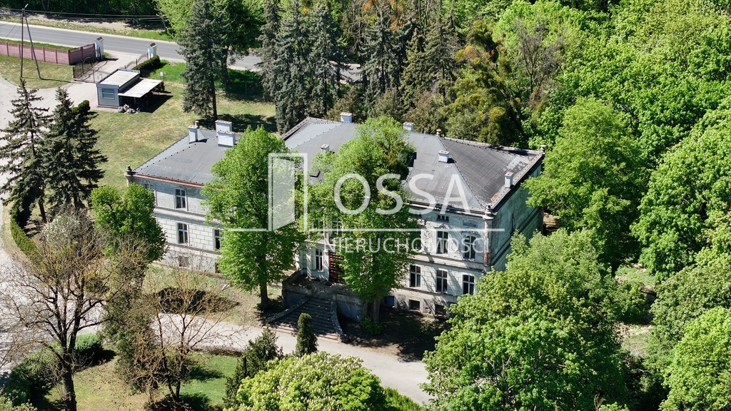 Pałac pod toruniem | 6ha parku