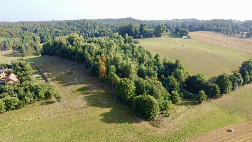 Chmielno | działka | inwestycyjna | 10 700m2