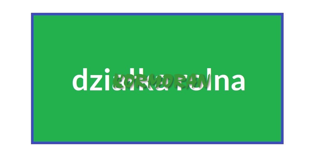 Rola 10,764 ha - niemodlin