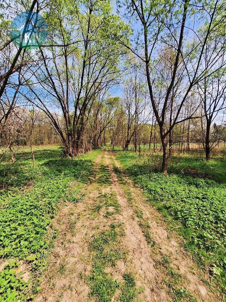 Doświadczaj beskidów - 60 arów naturalnej wolności