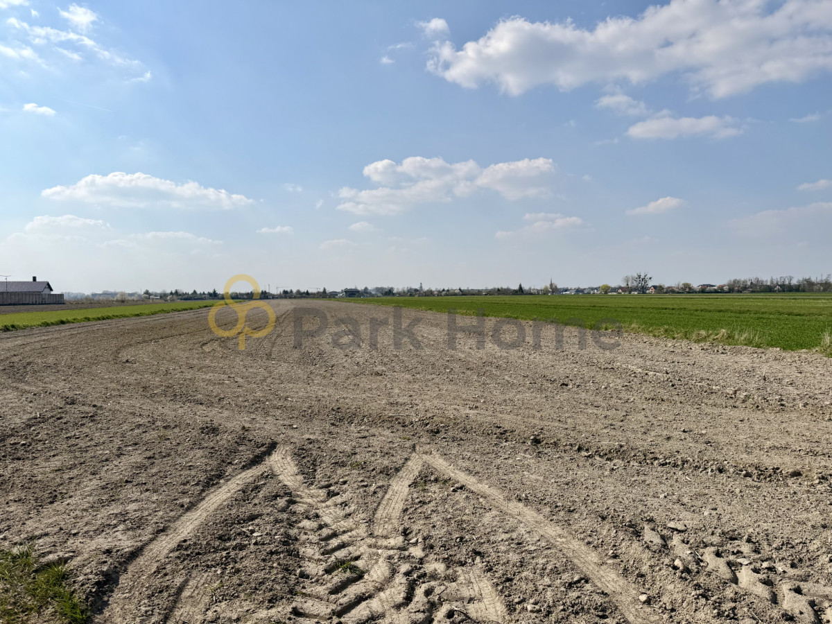 Grunt rolny/leśny 1,26 ha - rawicz, szymanowo