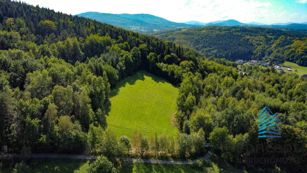Działka| 1 ha | łąkta górna
