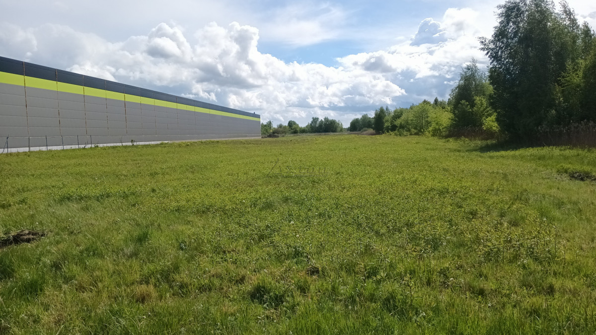 Mpzp usługi i produkcja