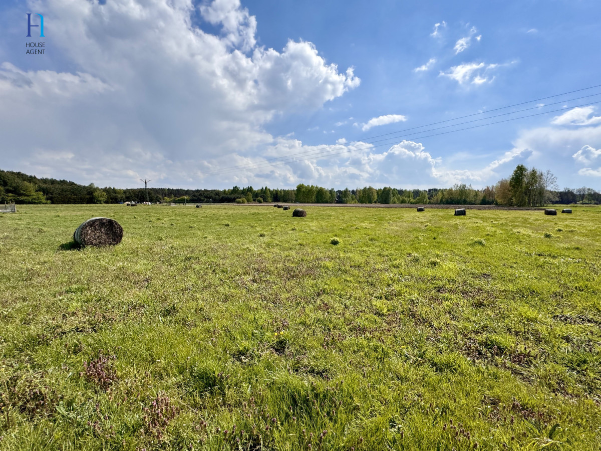 Działki budowlane wśród zieleni – stary adamów