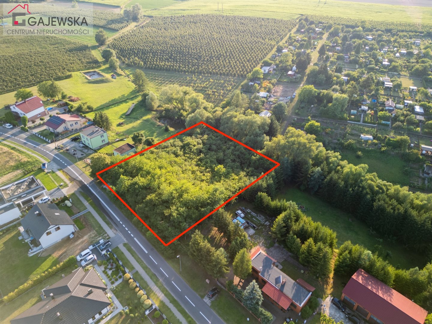 Działka z ogromnym potencjałem w wyrzysku!