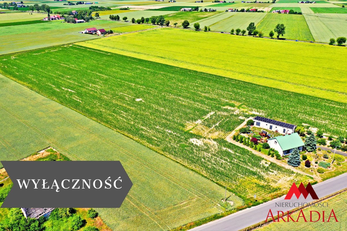 2 działki na sprzedaż z warunkami zabudowy-brzezie