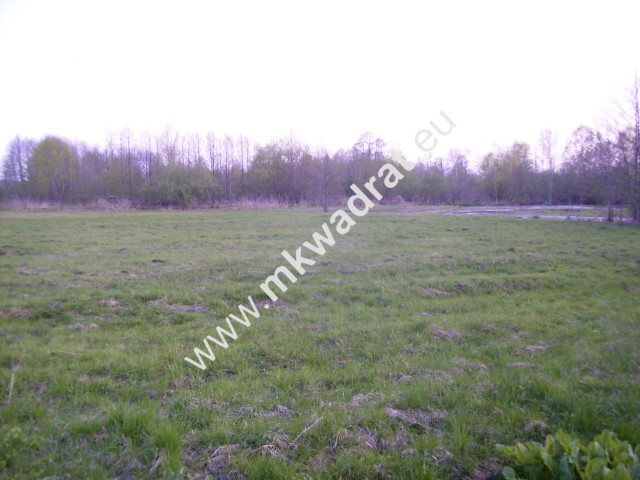 Dobra inwestycja # zieleń # spokój