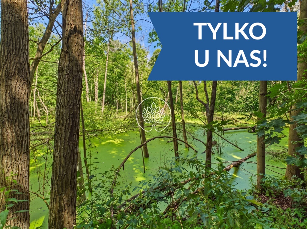 Siedlisko nad rzeką- 4300 m² - 70m linii brzegowej