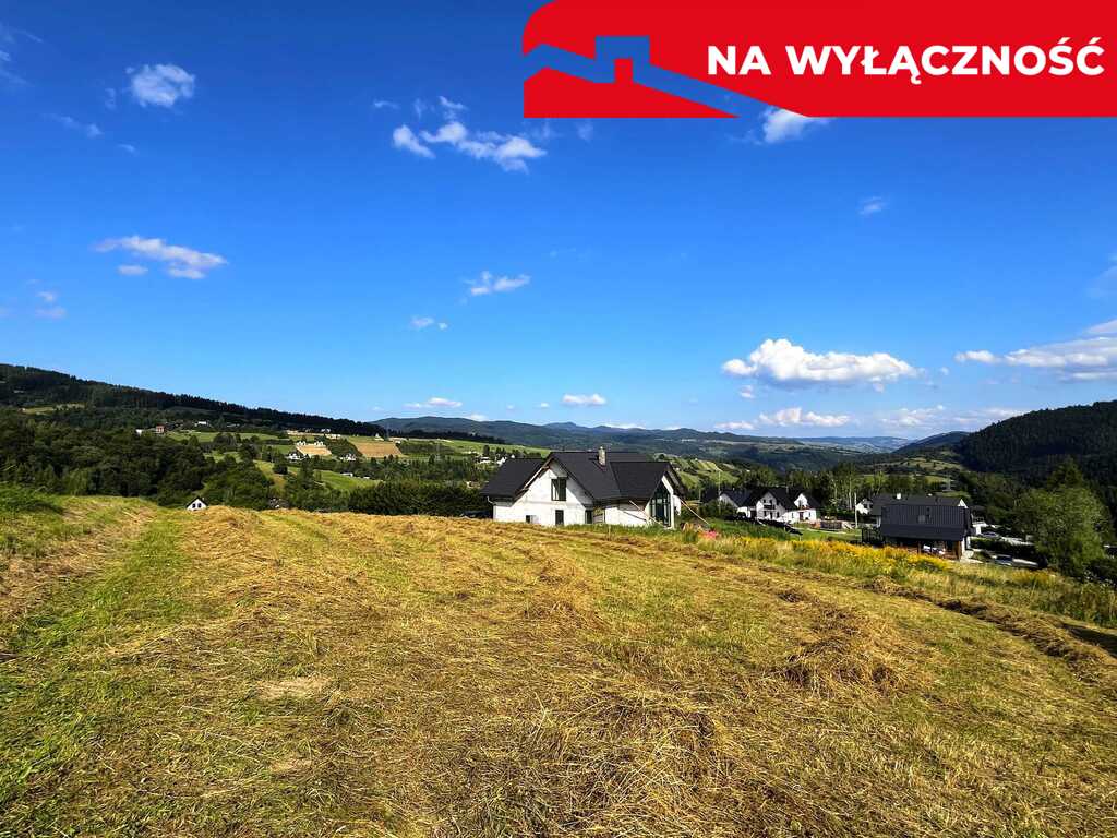 Działka z wz | 5291 m2 | widok na pieniny
