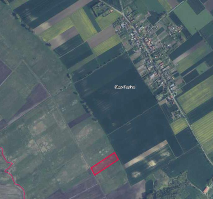 Na sprzedaż działka 1,65 ha stary przylep, gmina warnice, powiat pyrzycki