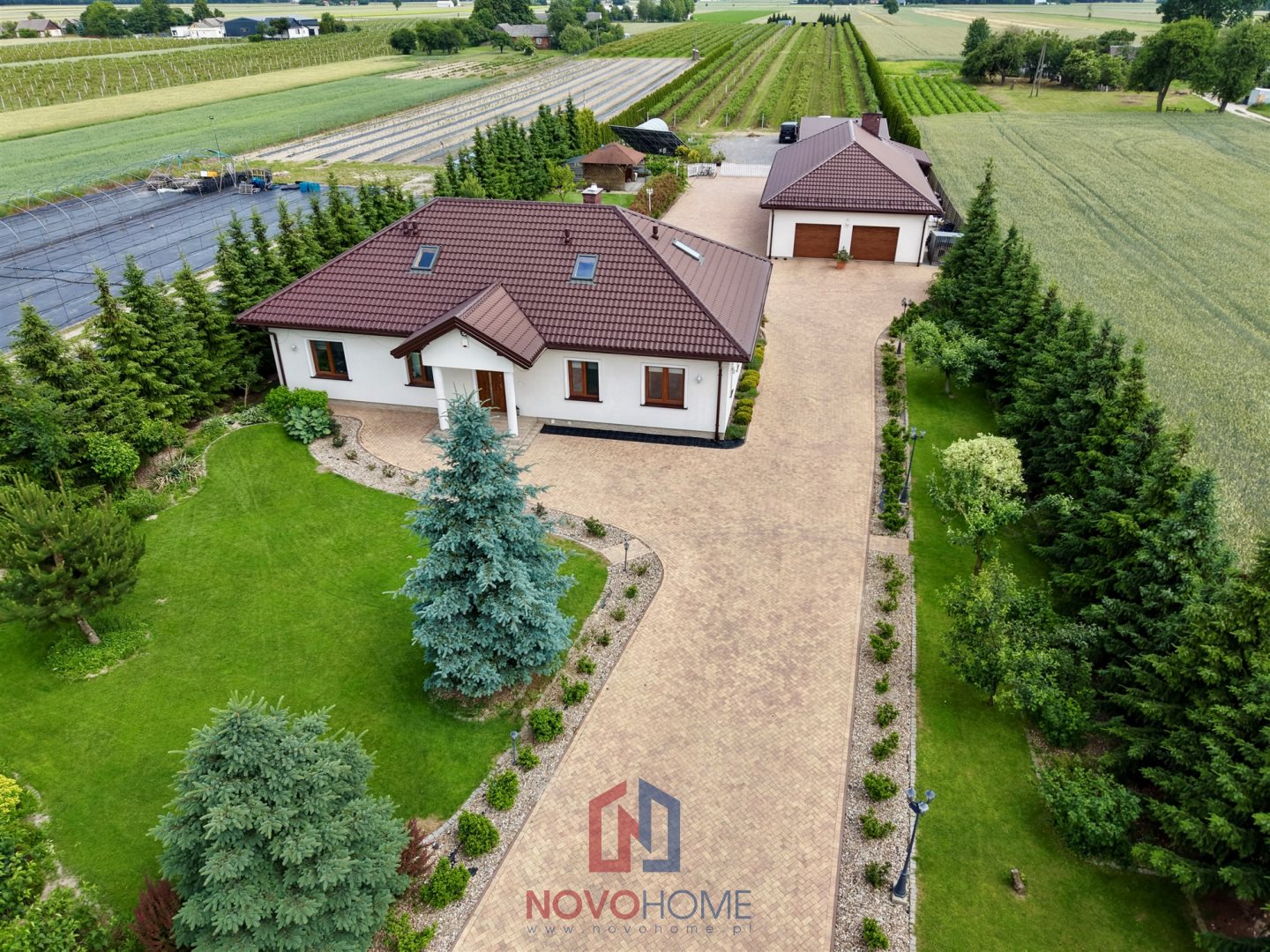 Dom z plantacją borówki – kolonia domaszewnica