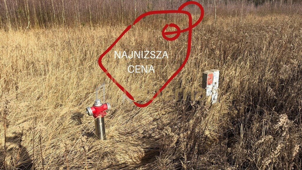 Działka 1552 m2 żółwia błoć - 44,91 zł/m2