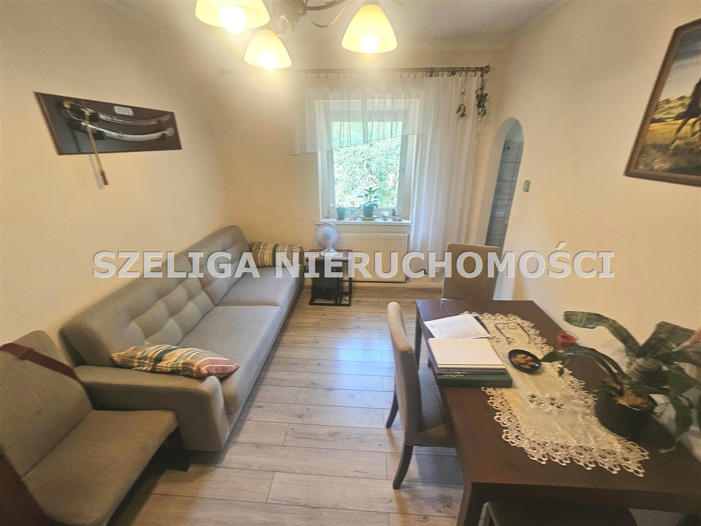Okolice ul. brzozowej, ogródek, garaż