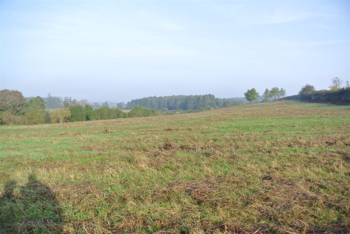 Działka inwestycyjna gmina sobków