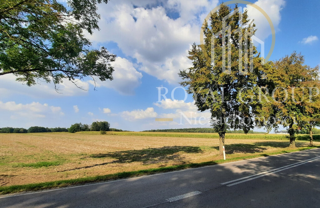 Działka przy drodze wojewódzkiej