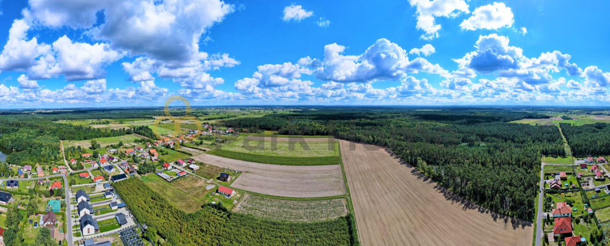 Las, cisza, spokój i szybki dojazd do rawicza!