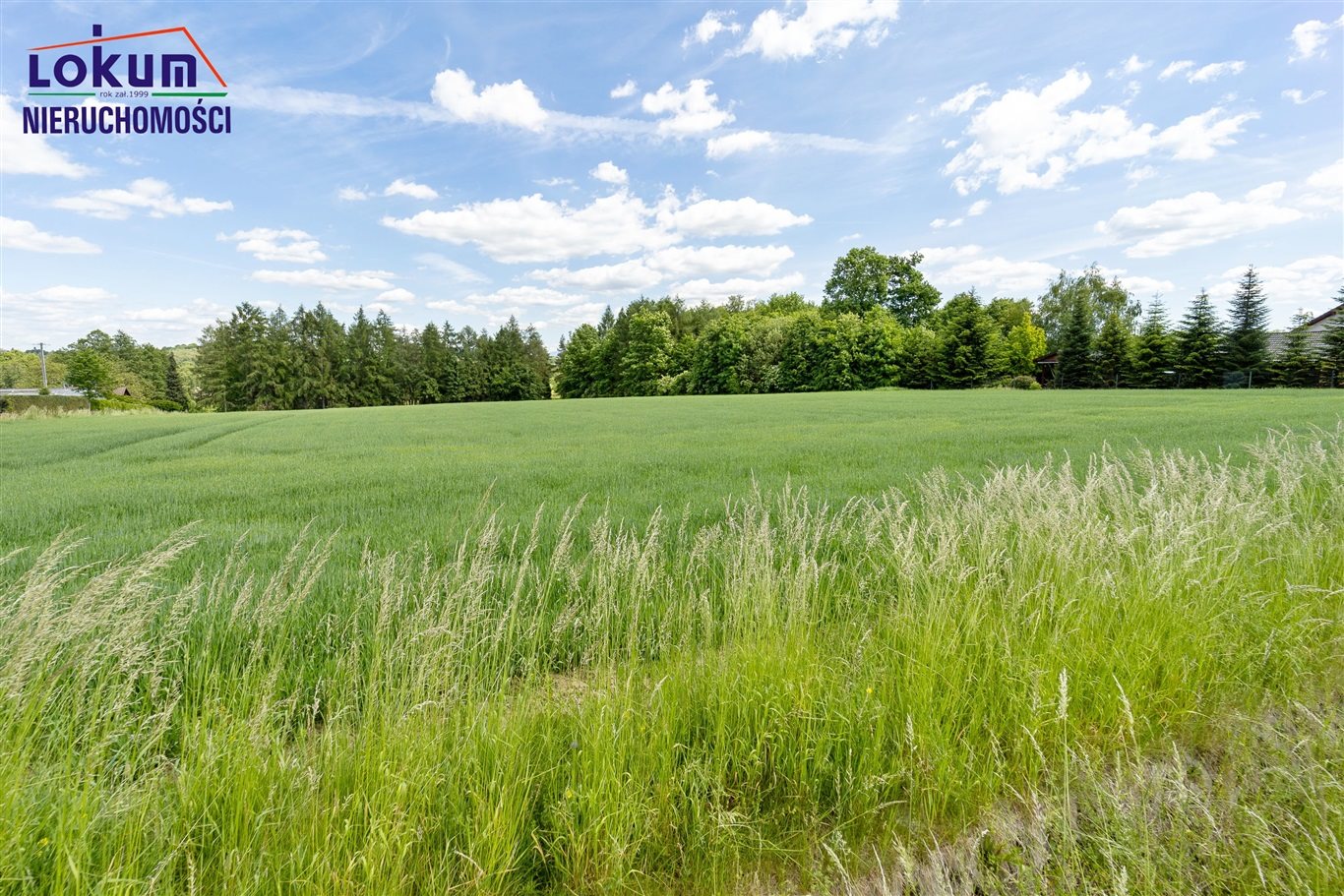 Dębowiec - 1586 m2, blisko centrum, pełne media