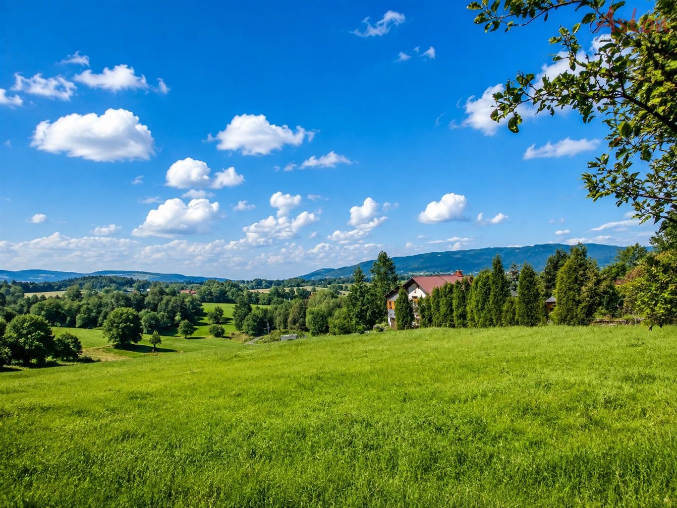 Działka budowlana 2760 m2 - lipowa