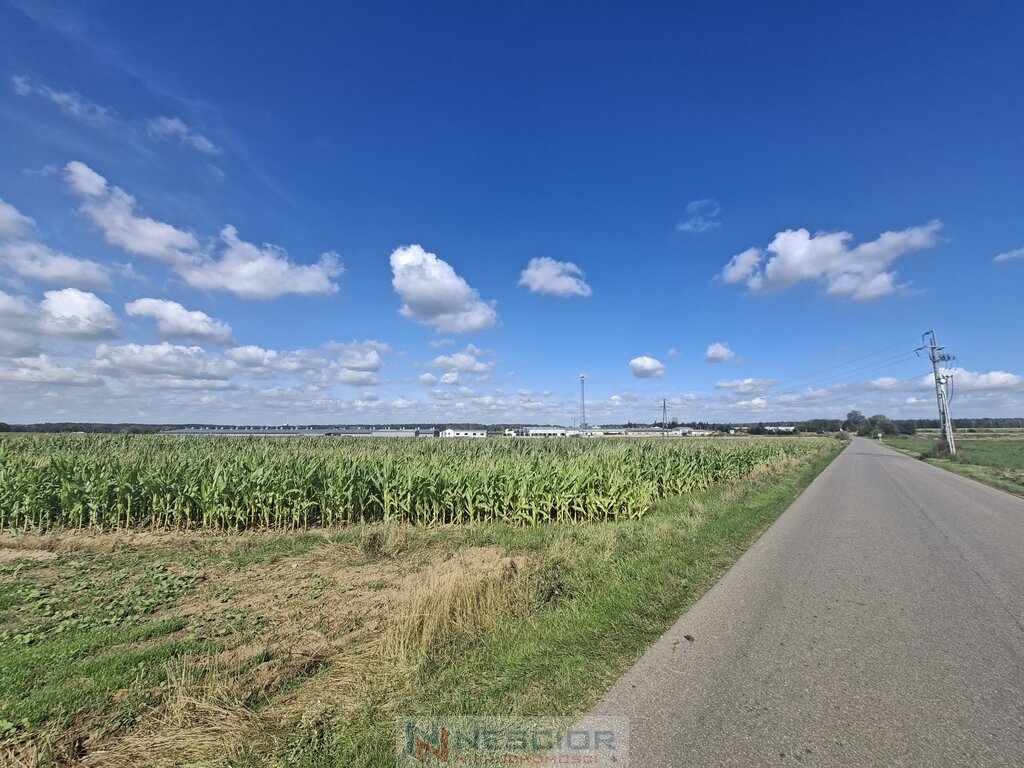 Działka inwestycyjna suchożebry (przy dk63)