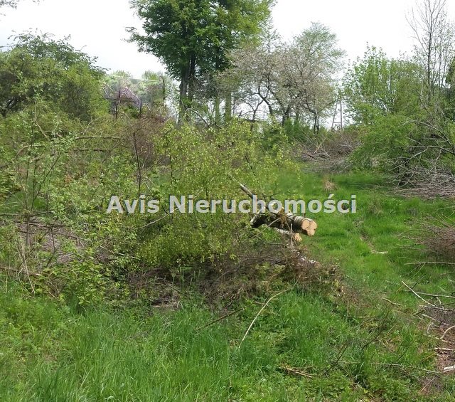 Działka budowlana jedlina śląska